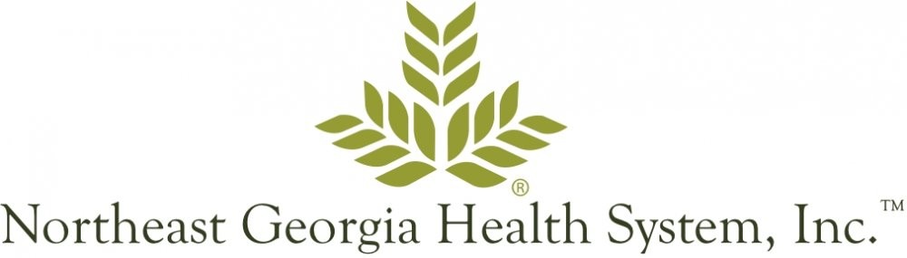 Northeast Georgia Health System logo Northeast Georgia Health System logo